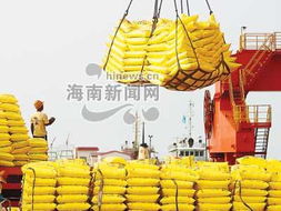 中海油富岛化肥产销两旺,共销售70万吨化肥